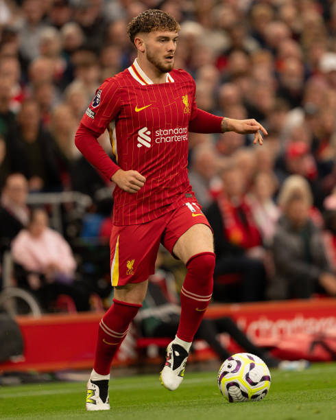 豪门还是黑 豪门还是黑