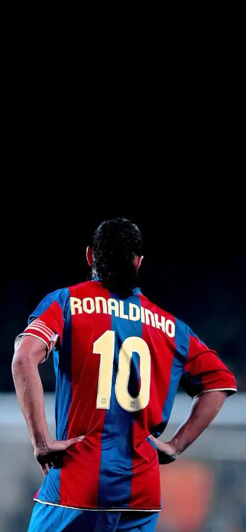 迅速成为了 迅速成为了